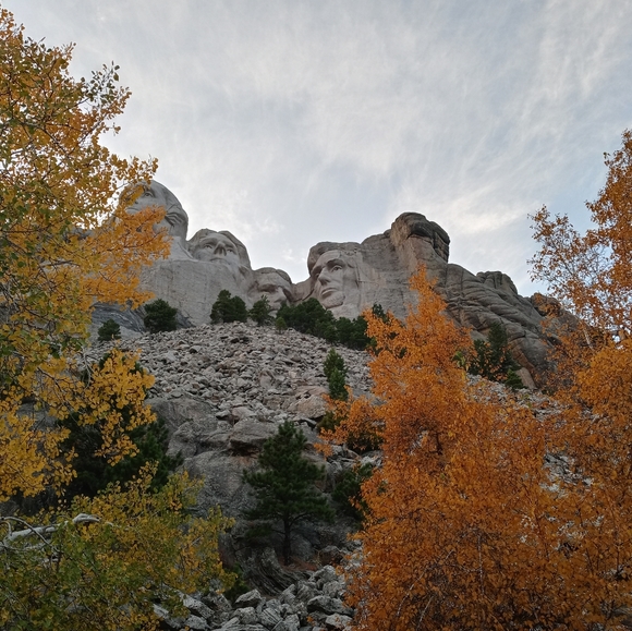 Meet your Posher, Irina - Picture 2 of 3